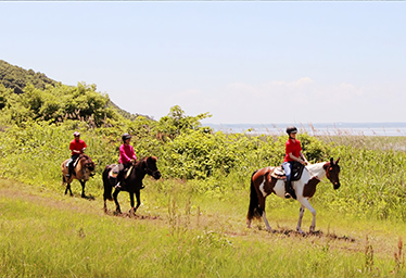 Misawa Horse Park
