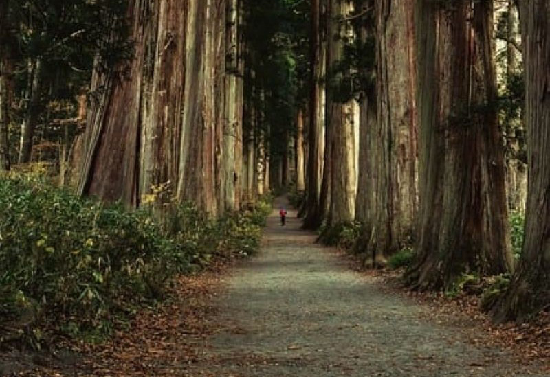 Warabino Tourism Co., Ltd.