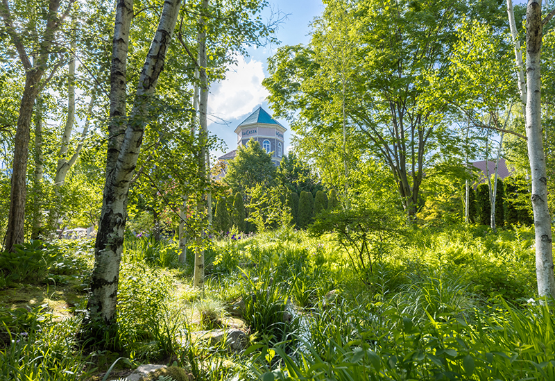 La Casta Natural Healing Garden