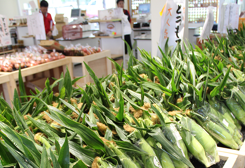 Roadside Station Oze Katashina