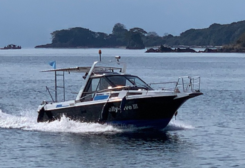 Kinko Bay Cruise