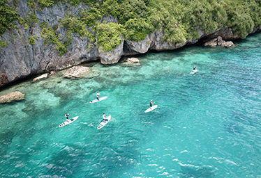 Irabu Island Guide: Bonito