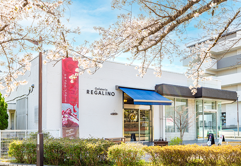 Gelateria REGALINO