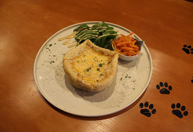 Cat Bar Kisho